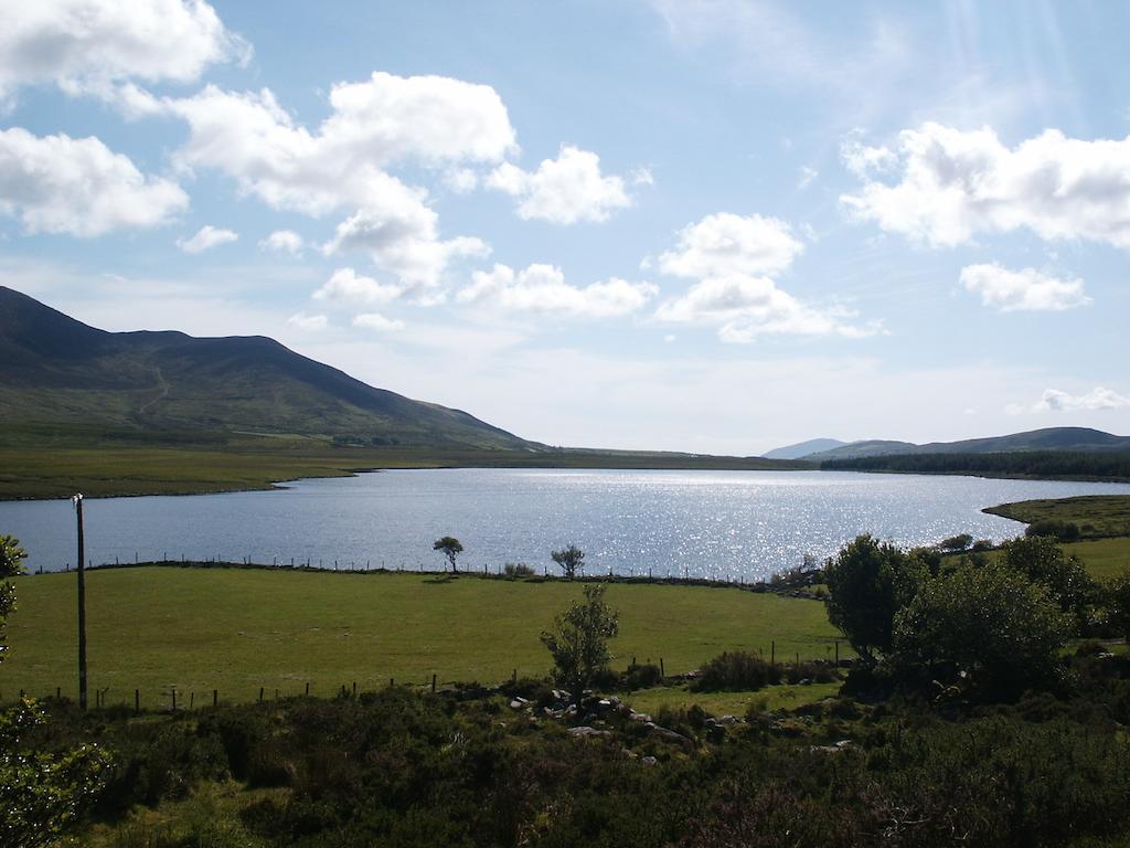 Bru Na Dromoda/Dromid Hostel Killeenleagh Bridge Værelse billede